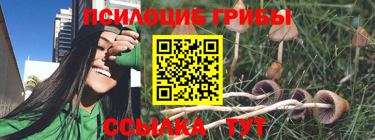 Кореновск  Галлюциногенные грибы Psilocybe  Вход с VPN 